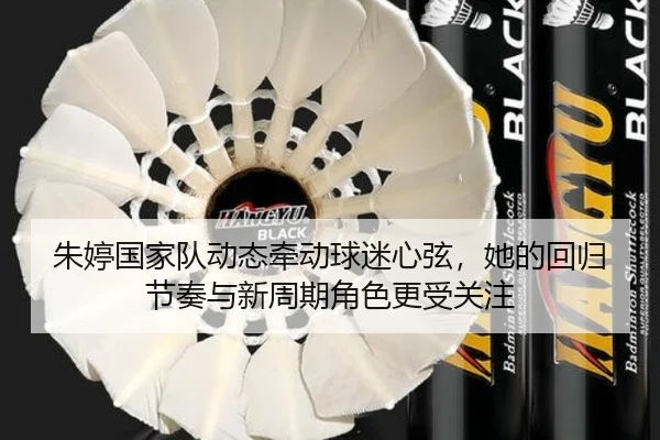 朱婷国家队动态牵动球迷心弦，她的回归节奏与新周期角色更受关注
